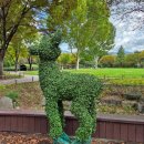 호수공원6 야생초화원 | 대구. 수목원