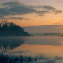 생명의 그물 2 이미지