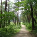 만물천하 이미지