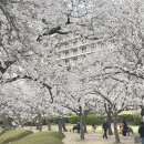 챗지피티가 사진 보정은 진짜 못하네요. 이미지