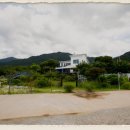 강아지천국 이미지