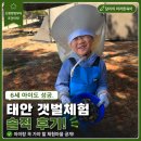 용신6 | 태안 유료 갯벌체험 솔직후기 초보 가족도 편했던 용신어촌체험마을