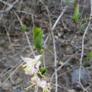 사선대농장 이미지