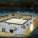 코리아태권도체육관 이미지