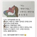 아람마주이야기 이미지