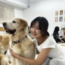 뭉스벨리 이미지