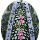 초정노인장례식장