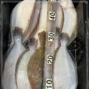 금갈치은고등어 이미지