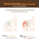 경희예인한의원 이미지