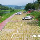 임실공영주차장 이미지