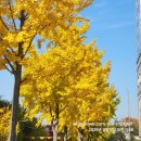 대청해장국 이미지