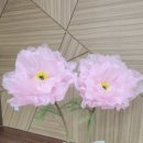 배다리 손만두 이미지