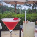 보람수영장 | 발리 파드마 리조트 우붓 프리미어룸 더블ㅣ신혼여행 정글뷰 숙소 수영장 조식 후기