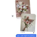 마이스포토 | ep. 사진듀스 101을 해보자 📷 _ 스냅사진[일출.일몰.야간]-파리스냅:윌스포토(싱글스냅)/(파리부케)