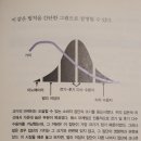 고흥나루터 이미지