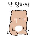 리엔호이스