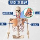 필라테스오르난 | #필라테스유랑자 | 클래식 15년차 원장님 레슨은 어떨까? | 잠실새내 ‘필라테스오르난’