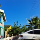 제주서쪽감성숙소 제주애물들다 이미지