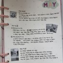 [5월 결산] 너 내가 야빠야 위즈니야?