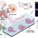 주식회사 바이오테크 이미지