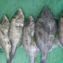 나의목장 이미지