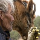 워낭소리 이미지