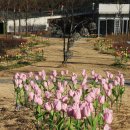 판교박물관 이미지