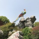 우한호