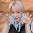 (주)지피코 | 일상| 돈 있냐고? 피해지원금이 다야
