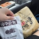 현대자동차 서천점 | 전남 광양 2박 3일 D+1; 광양불고기 &amp; 현대 블루핸즈 &amp; 호텔 락희 &amp; 정병욱 생가 &amp; 배알도 &amp; 여수 간장...