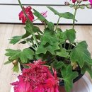 원플러스원 농장 이미지