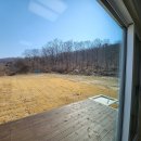 양사면사무소 이미지