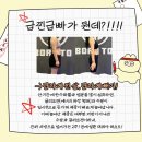 순환로2L | 🍂 추석 끝! 급찐급빠 프로젝트, 본투짐에서 다 알려드립니다 / 율량동 헬스장 / 율량동헬스