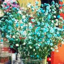 디아크동물병원 이미지