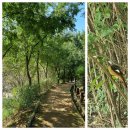 갈대숲작은도서관 이미지