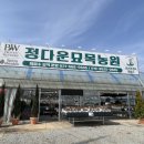 정다운꽃집 - 경주시 용담로104번길 7 | 정다운꽃집