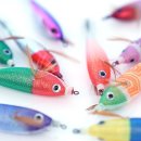 비다쭈꾸미 이미지