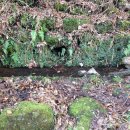 태수목장 이미지