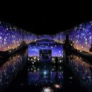 아르떼뮤지엄 이미지