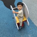 멍테라피 | [내돈내산] 아기 멍크림 추천, 스킨테라피 아르니카 크림 후기