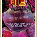 그린종묘농약사 이미지