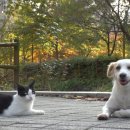 도훈농장 이미지