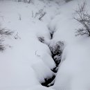 운주목장 이미지