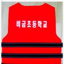 비금초등학교 이미지