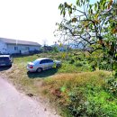 양덕동134 이미지