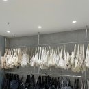 뉴뉴웨어 이미지