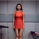 올리브조화 이미지