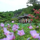 선교장 앞 이미지