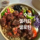 샐로틴
