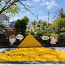 서울녹번초등학교 이미지